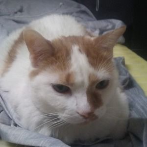 Meet your Posher, John